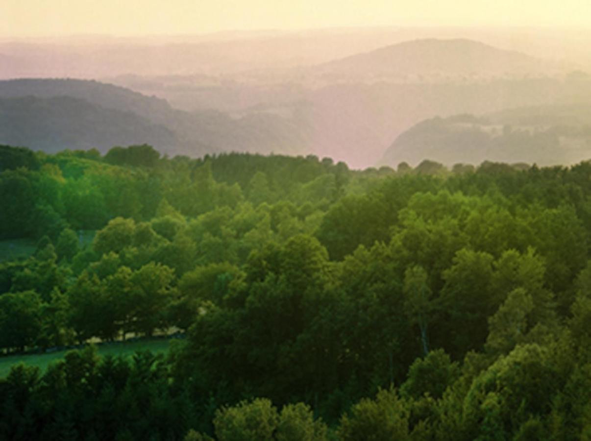 Luxury tent Yourtes De Vassiviere *