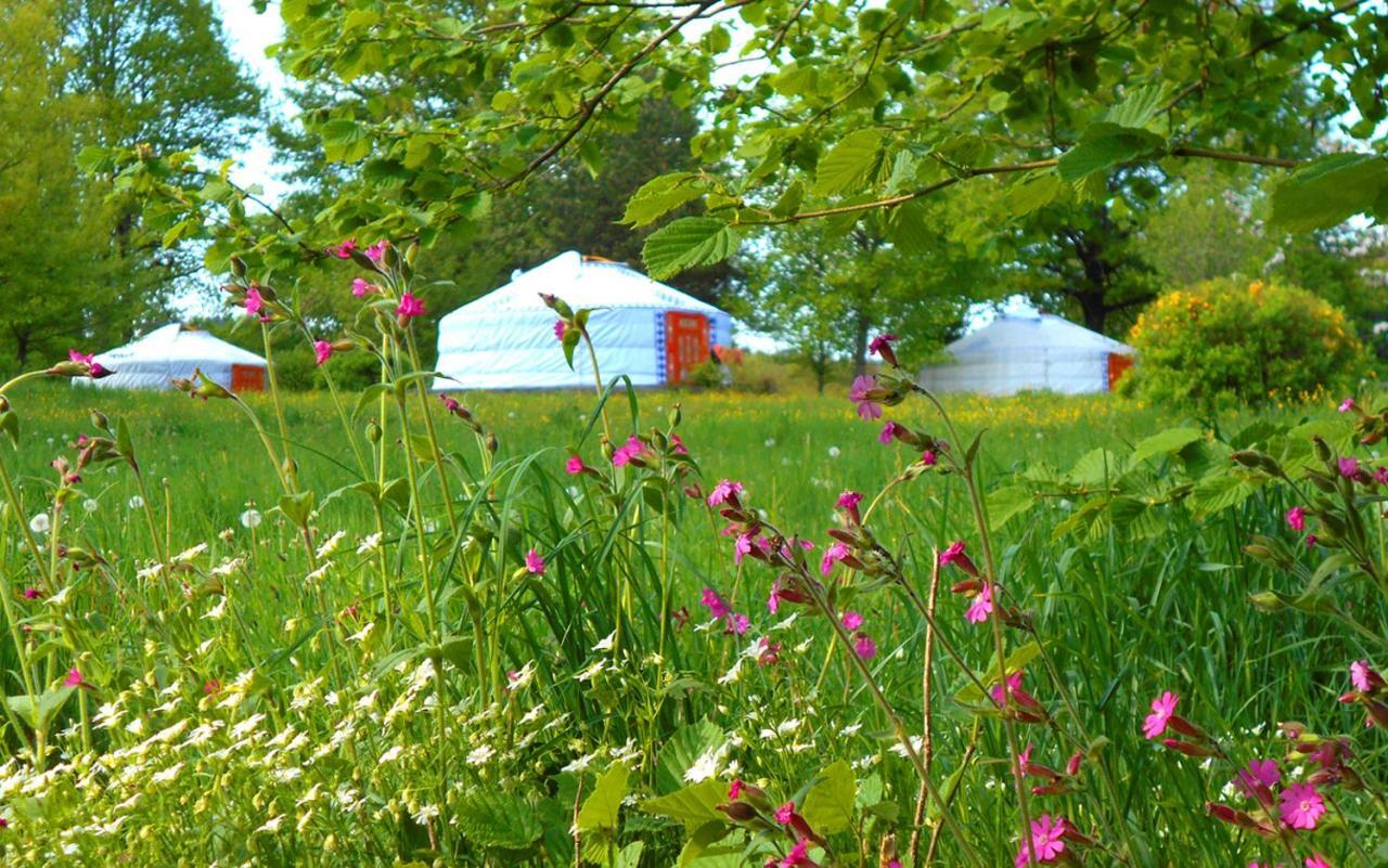 Luxury tent Yourtes De Vassiviere Peyrat-le-Chateau